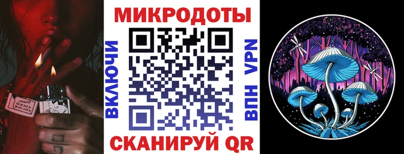 Псилоцибиновые грибы Psilocybe  kraken ССЫЛКА  Волосово 